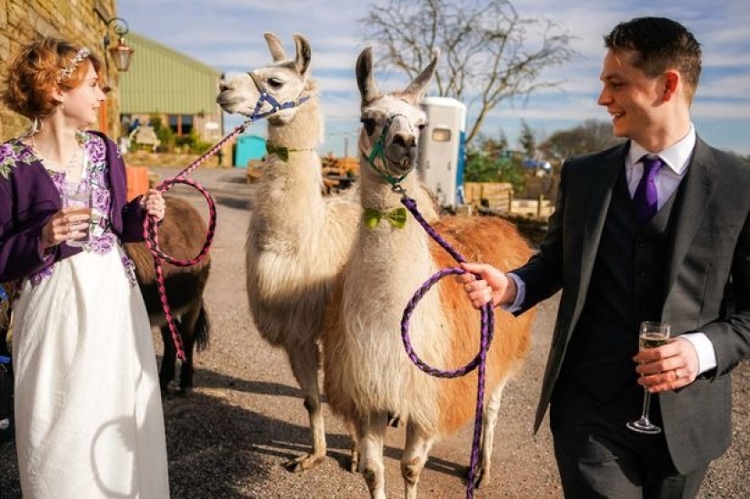 Celebración del Amor: Parejas que jugaron bodas únicas durante la cuarentena Celebración del Amor: Parejas que jugaron bodas únicas durante la cuarentena
