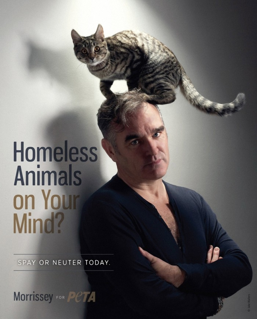 Celebrities who Stripped Off to Participate in PETA's Anti-Mech Campaign