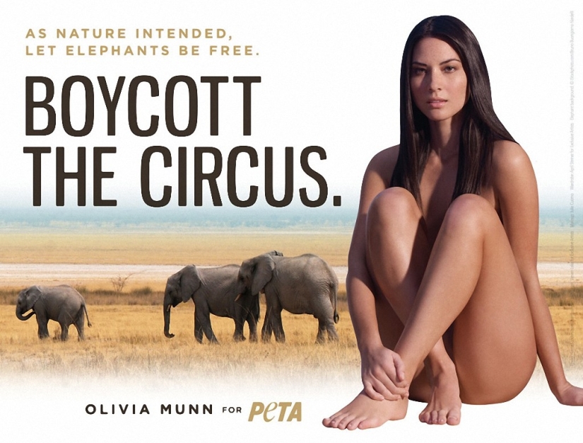 Celebrities who Stripped Off to Participate in PETA's Anti-Mech Campaign