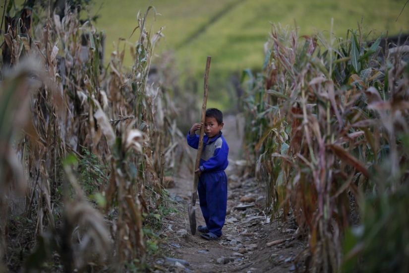Childhood in North Korea: how children grow up in the most closed country in the world