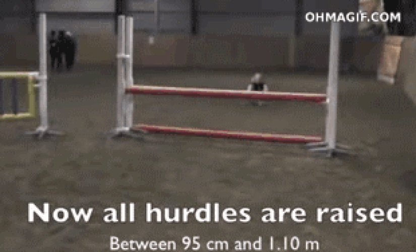 Children are such children: GIFs that will definitely make you smile
