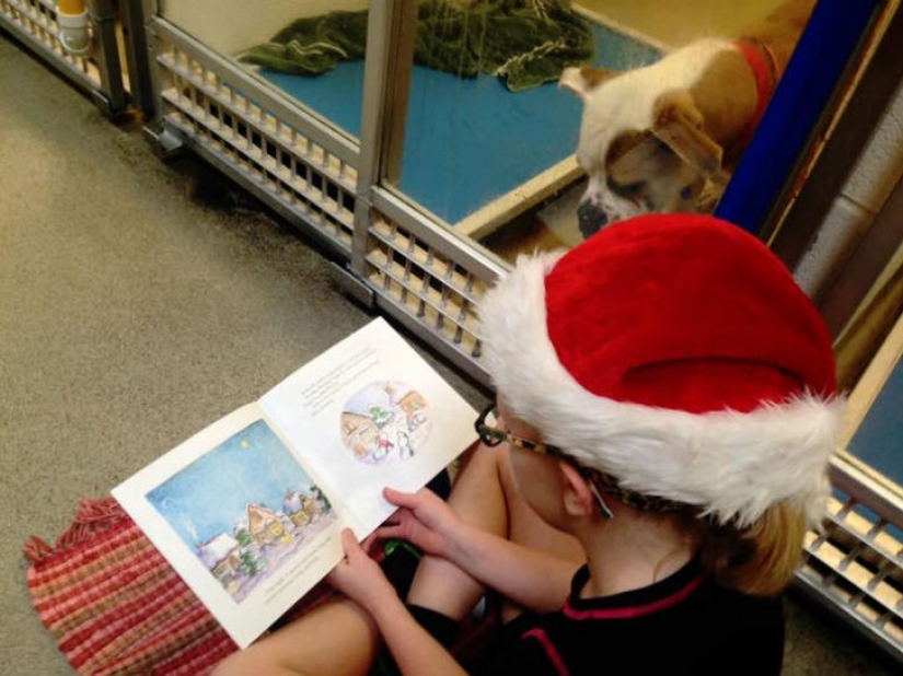 Children read aloud at an animal shelter to help bullied and shy dogs adapt