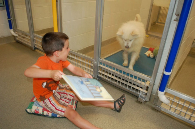 Children read aloud at an animal shelter to help bullied and shy dogs adapt