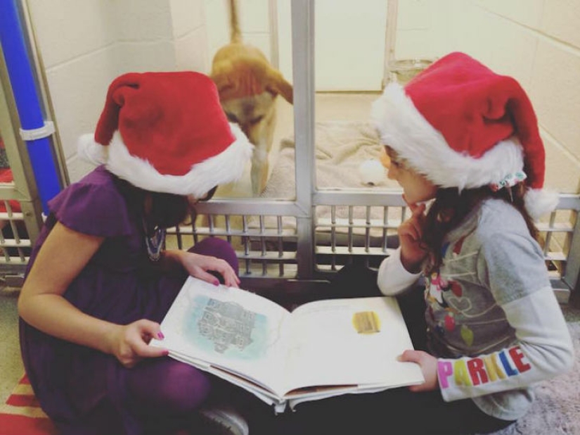 Children read aloud at an animal shelter to help bullied and shy dogs adapt