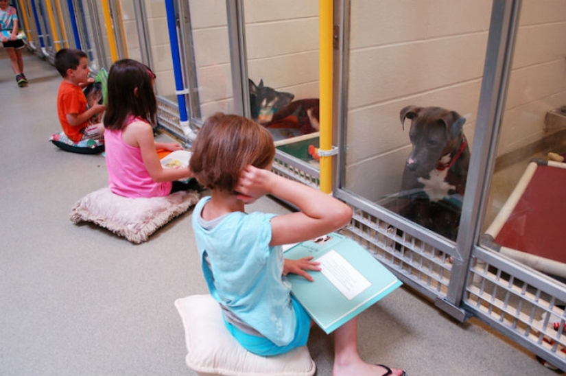 Children read aloud at an animal shelter to help bullied and shy dogs adapt