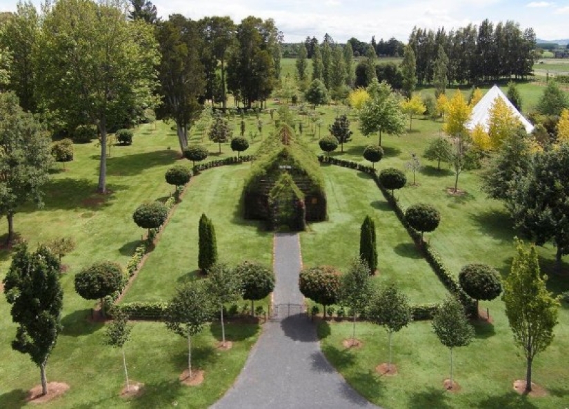 Church of Living Trees