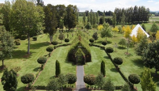 Church of Living Trees Church of Living Trees