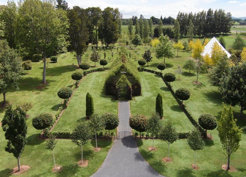 Church of Living Trees