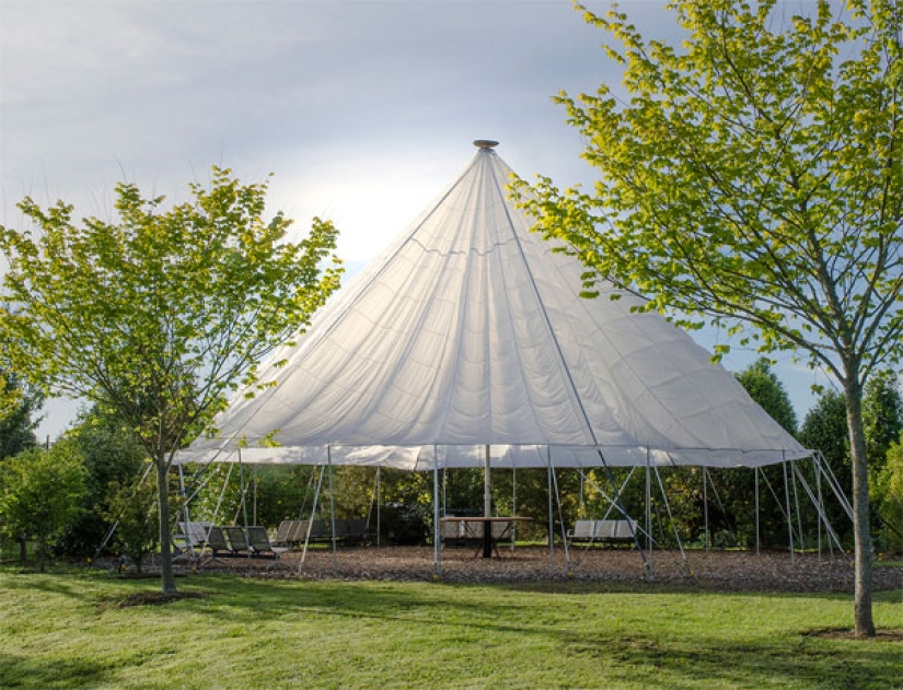 Church of Living Trees