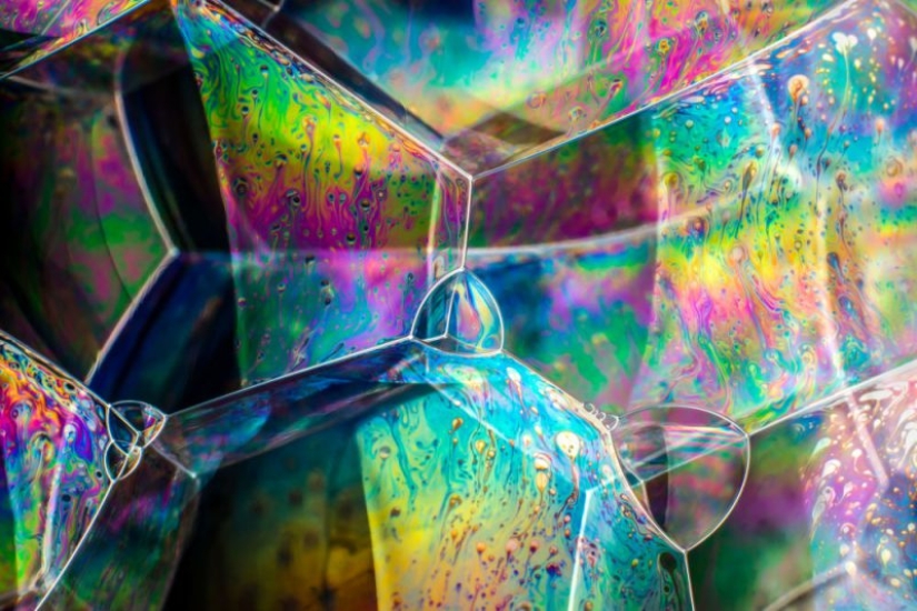 Ciencia Fascinante: 10 Mejores Trabajos del Concurso de Fotografía Científica de la Royal Photographic Society 2019 Ciencia Fascinante: 10 Mejores Trabajos del Concurso de Fotografía Científica de la Royal Photographic Society 2019
