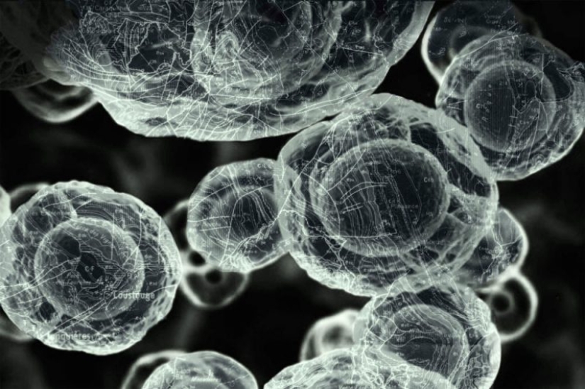 Ciencia Fascinante: 10 Mejores Trabajos del Concurso de Fotografía Científica de la Royal Photographic Society 2019 Ciencia Fascinante: 10 Mejores Trabajos del Concurso de Fotografía Científica de la Royal Photographic Society 2019
