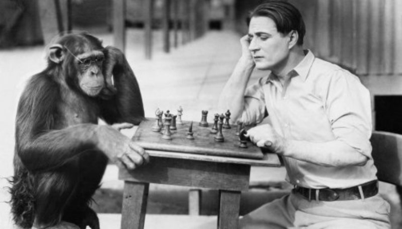 Científicos de Estados Unidos cruzaron un humano y un chimpancé hace 100 años, pero el híbrido tuvo que ser sacrificado