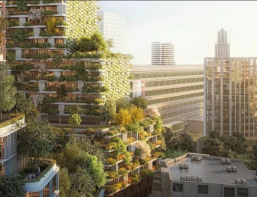 Clean streets, tree rights and a 4-day working week: the most amazing innovations in other countries