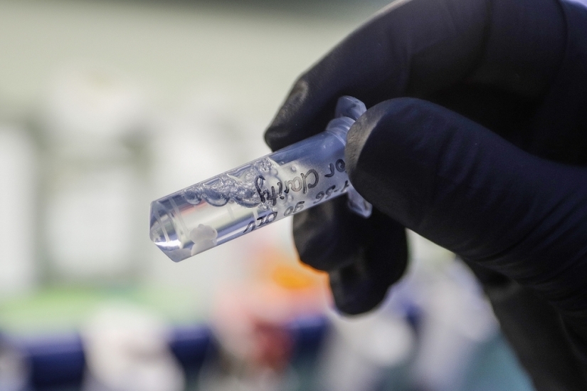 Cómo apareció el veneno de combate Novichok y por qué tiene un nombre tan extraño