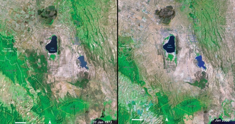 Cómo destruimos nuestro propio planeta Cómo destruimos nuestro propio planeta