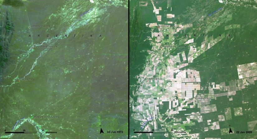 Cómo destruimos nuestro propio planeta Cómo destruimos nuestro propio planeta