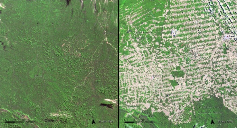 Cómo destruimos nuestro propio planeta Cómo destruimos nuestro propio planeta