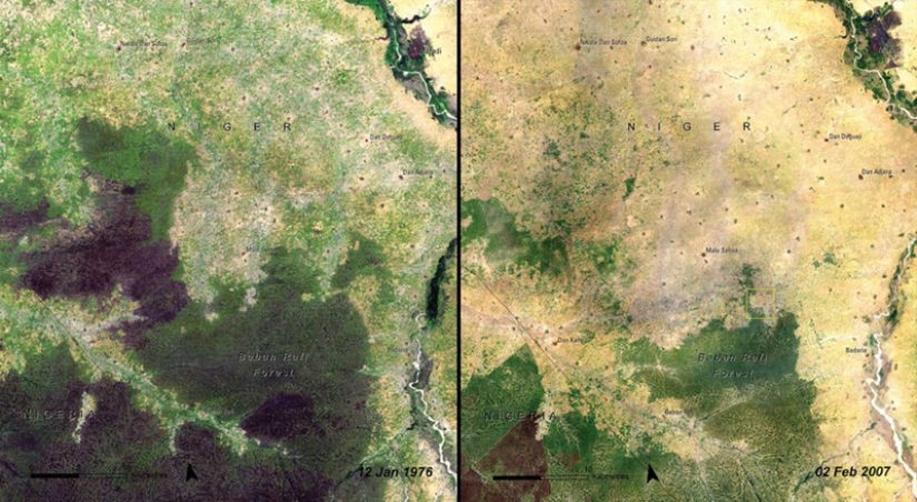 Cómo destruimos nuestro propio planeta Cómo destruimos nuestro propio planeta