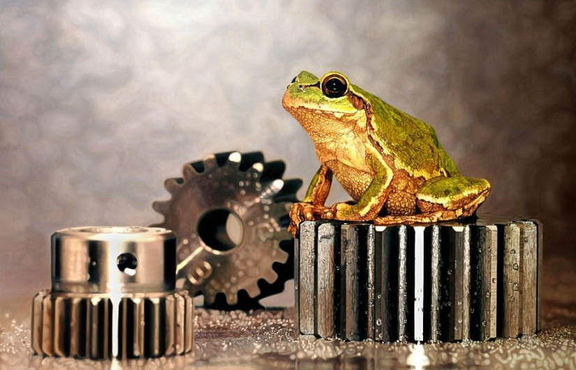 Cómo dibujar una foto: Increíbles pinturas hiperrealistas de un artista surcoreano Cómo dibujar una foto: Increíbles pinturas hiperrealistas de un artista surcoreano