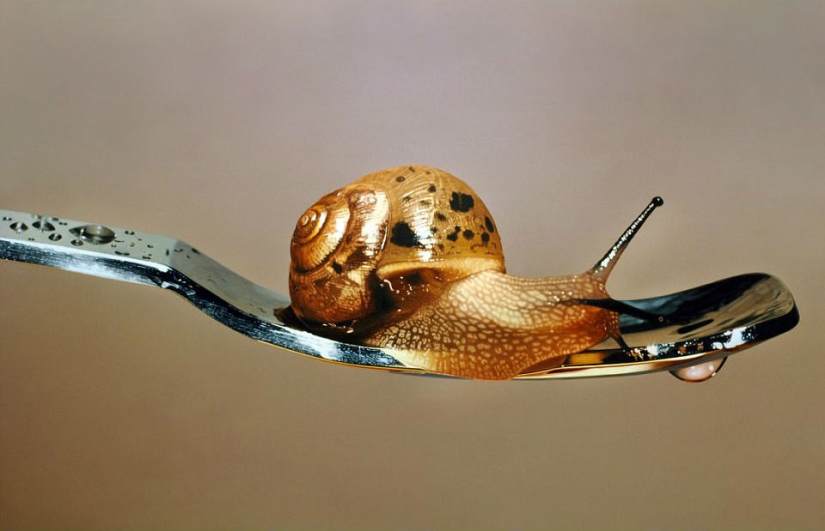 Cómo dibujar una foto: Increíbles pinturas hiperrealistas de un artista surcoreano Cómo dibujar una foto: Increíbles pinturas hiperrealistas de un artista surcoreano