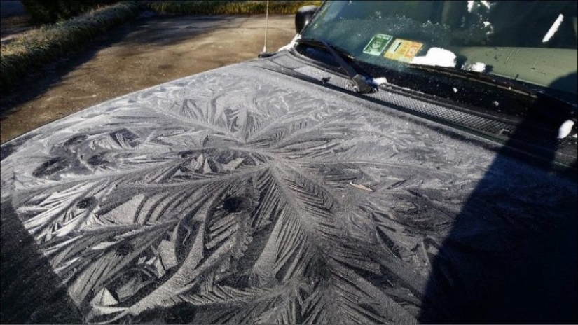Cómo el invierno convierte los coches en obras de arte