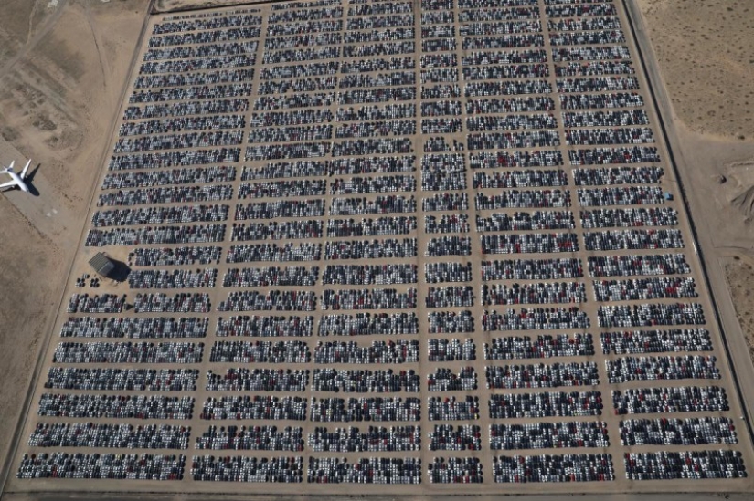 Cómo es el cementerio Volkswagen más grande de los Estados Unidos Cómo es el cementerio Volkswagen más grande de los Estados Unidos