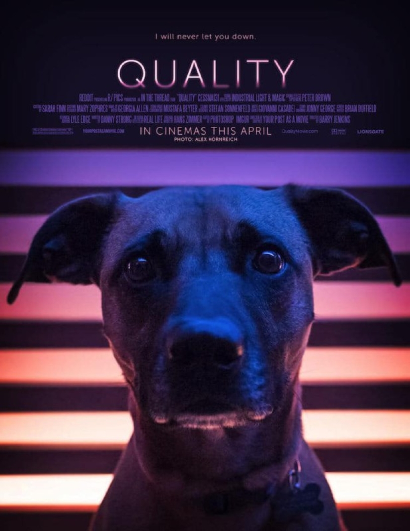 Cómo hacer una hermosa foto y obtener un póster para una película? Esta persona sabe la respuesta con certeza Cómo hacer una hermosa foto y obtener un póster para una película? Esta persona sabe la respuesta con certeza