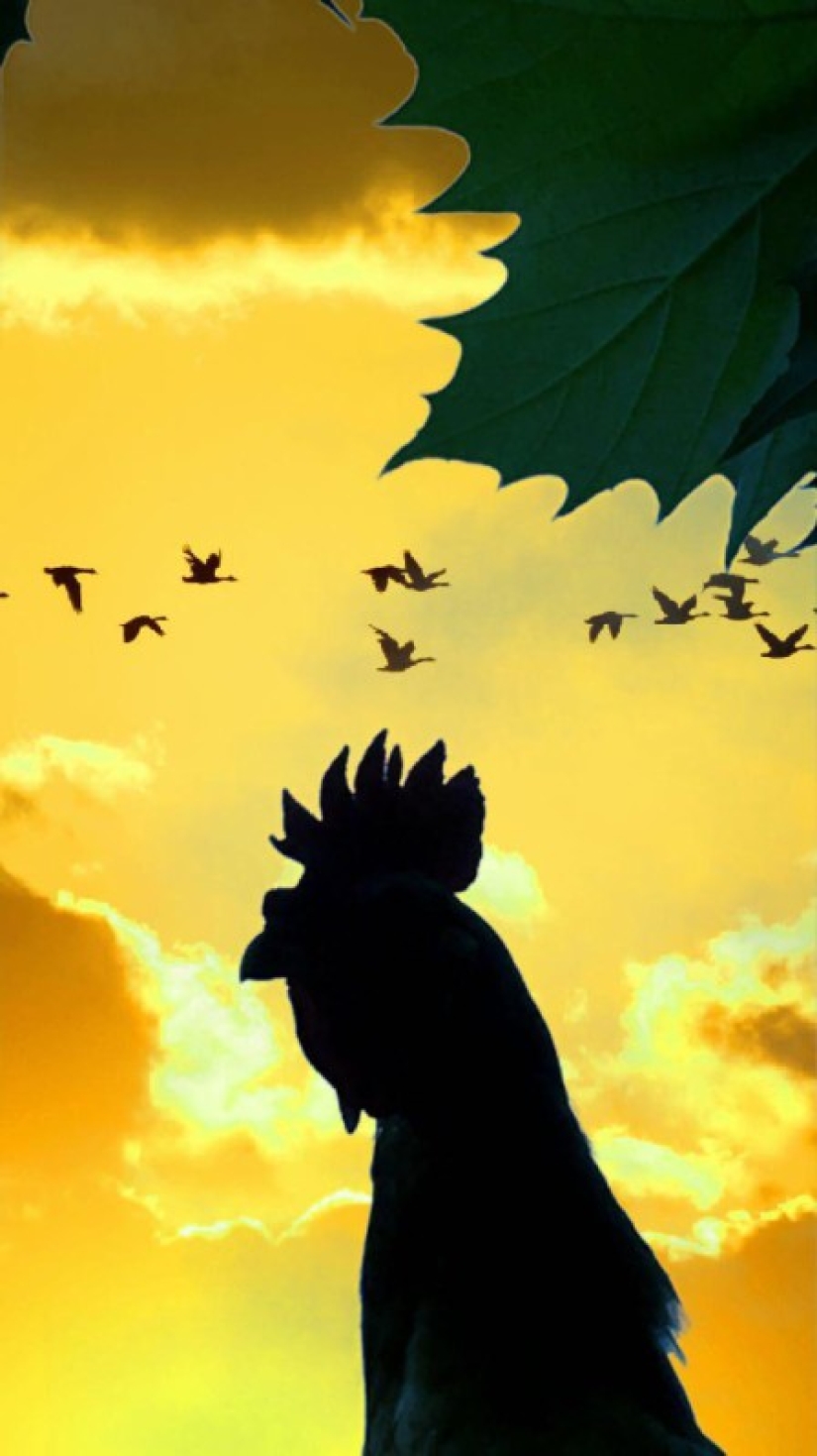 Cómo hacer una hermosa foto y obtener un póster para una película? Esta persona sabe la respuesta con certeza Cómo hacer una hermosa foto y obtener un póster para una película? Esta persona sabe la respuesta con certeza