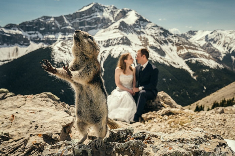 Cómo los niños, los animales y los invitados echan a perder las fotos de la boda Cómo los niños, los animales y los invitados echan a perder las fotos de la boda