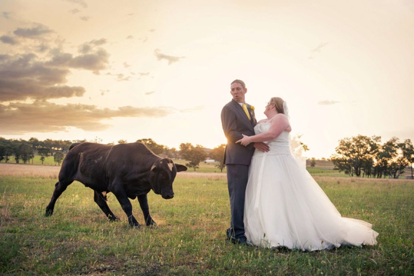 Cómo los niños, los animales y los invitados echan a perder las fotos de la boda Cómo los niños, los animales y los invitados echan a perder las fotos de la boda