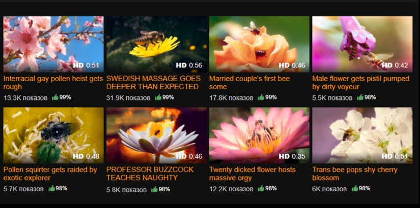 Cómo Pornhub y el Porno Salvan a las Abejas de la Extinción