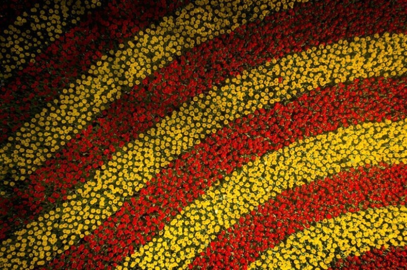 Cómo se ve el Parque de Tulipanes Keukenhof más hermoso sin un solo visitante