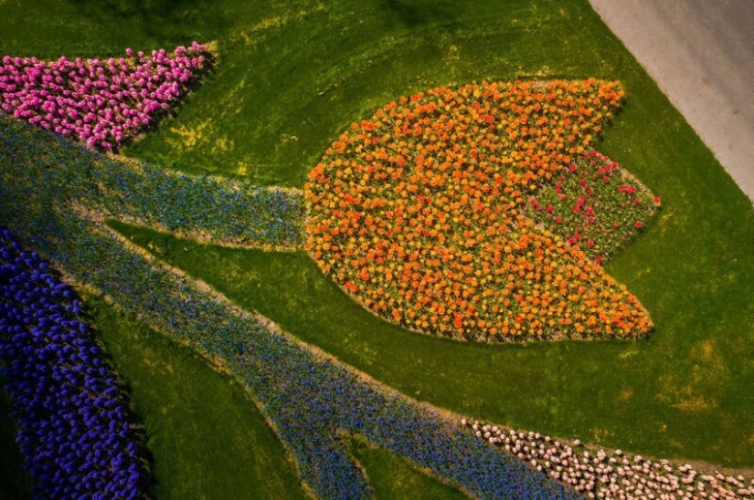 Cómo se ve el Parque de Tulipanes Keukenhof más hermoso sin un solo visitante