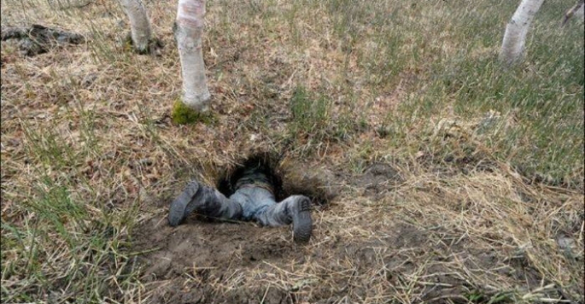 Cómo se ve una guarida de osos real desde el interior