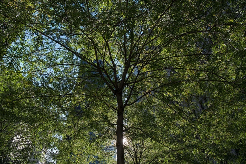 Cómo se ven los lugares turísticos famosos si giras la cámara en la otra dirección Cómo se ven los lugares turísticos famosos si giras la cámara en la otra dirección