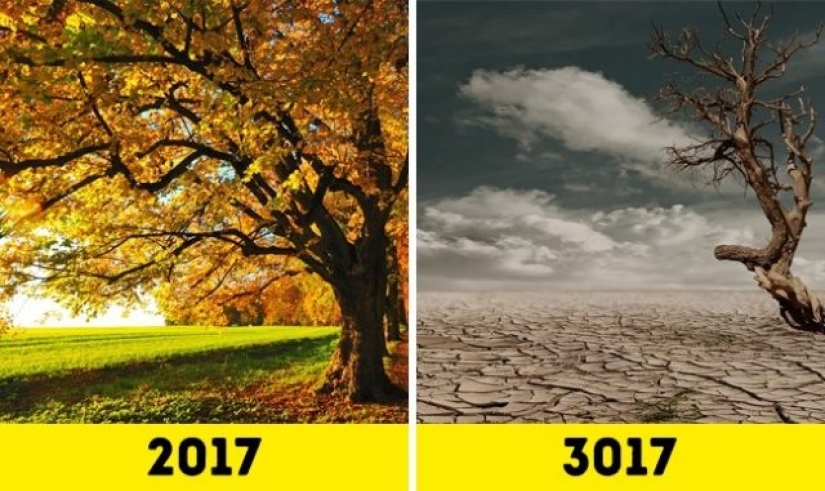 ¿Cómo será la Tierra dentro de 1000 años?