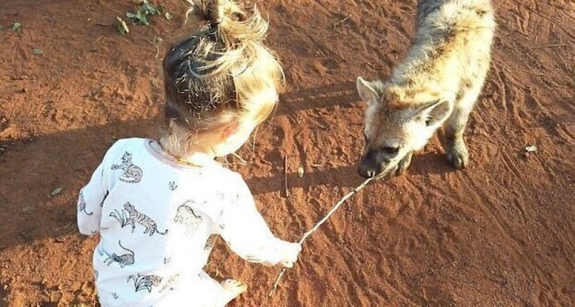 Cómo un bebé de 2 años se hizo amigo de hienas salvajes Cómo un bebé de 2 años se hizo amigo de hienas salvajes
