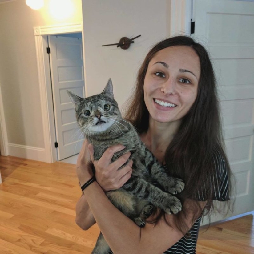 Cómo un gato con un cromosoma extra se convirtió en una estrella de Instagram