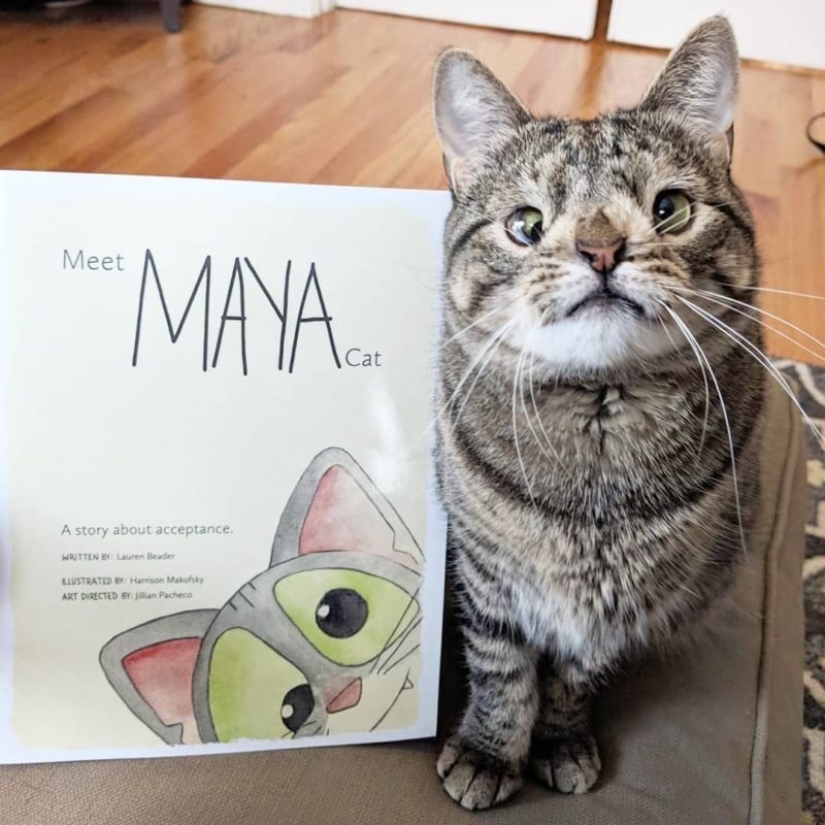 Cómo un gato con un cromosoma extra se convirtió en una estrella de Instagram