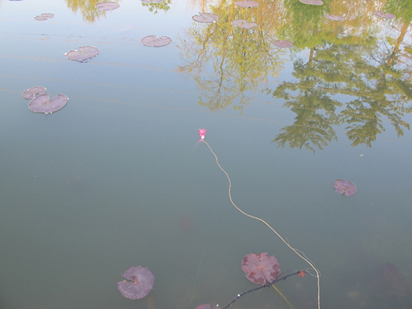 Cómo usar un tampón para un hombre de verdad: 10 consejos duros Cómo usar un tampón para un hombre de verdad: 10 consejos duros