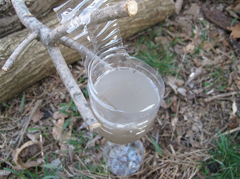 Cómo usar un tampón para un hombre de verdad: 10 consejos duros Cómo usar un tampón para un hombre de verdad: 10 consejos duros