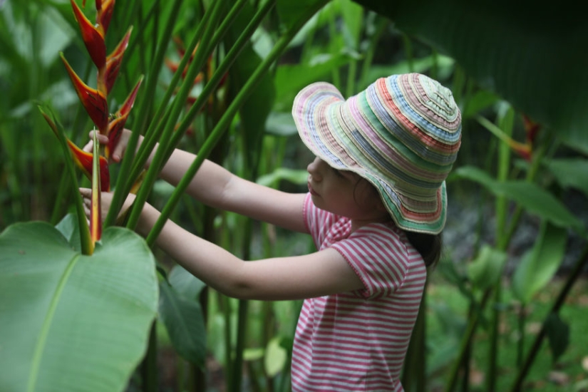 Cómo viajar por la jungla ayudó a un artista con autismo de ocho años