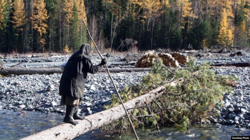 Cómo vive el ermitaño de la taiga Agafya Lykova hoy Cómo vive el ermitaño de la taiga Agafya Lykova hoy