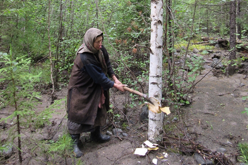 Cómo vive el ermitaño de la taiga Agafya Lykova hoy Cómo vive el ermitaño de la taiga Agafya Lykova hoy