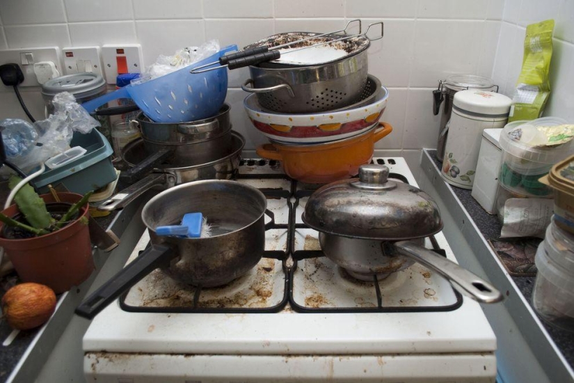 Cómo viven los "peluches" ingleses Cómo viven los "peluches" ingleses