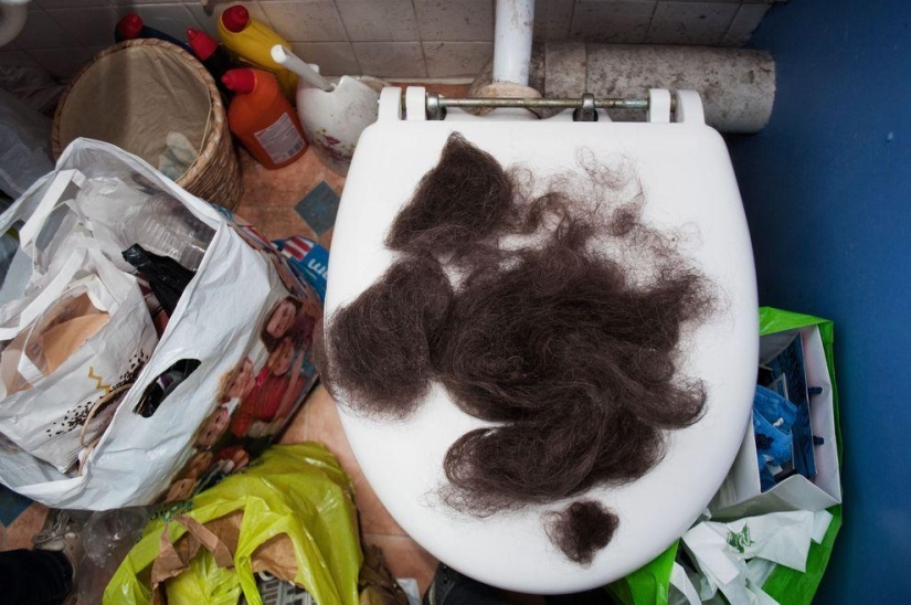 Cómo viven los "peluches" ingleses Cómo viven los "peluches" ingleses