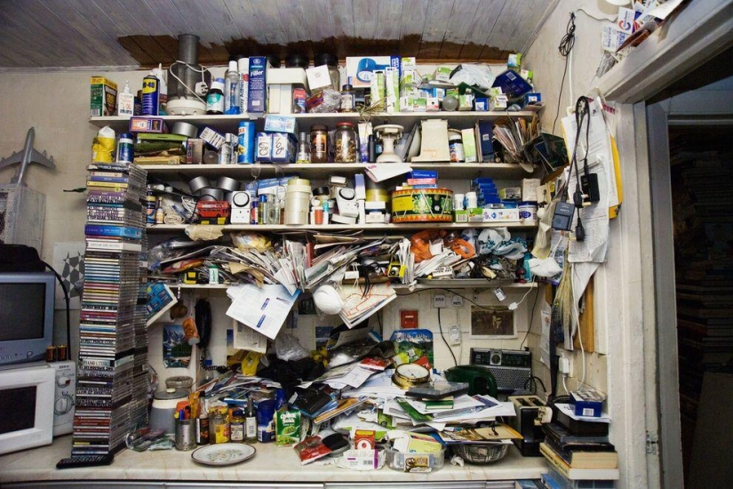 Cómo viven los "peluches" ingleses Cómo viven los "peluches" ingleses