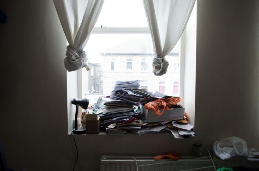 Cómo viven los "peluches" ingleses Cómo viven los "peluches" ingleses