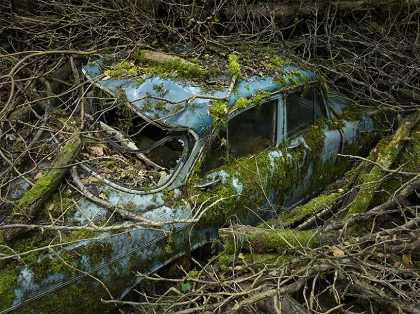 Coches abandonados en brazos de la naturaleza