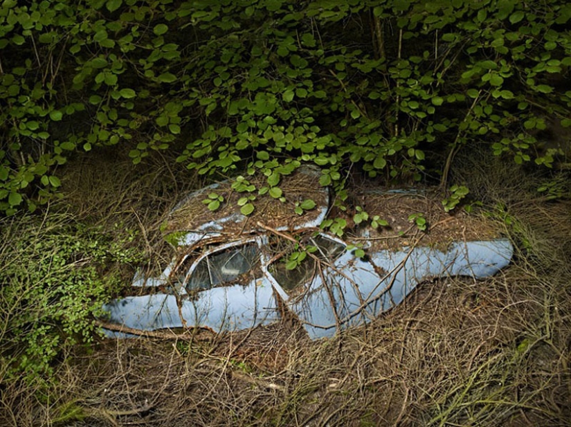 Coches abandonados en brazos de la naturaleza